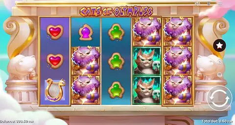Cats Olympuss von Push Gaming
